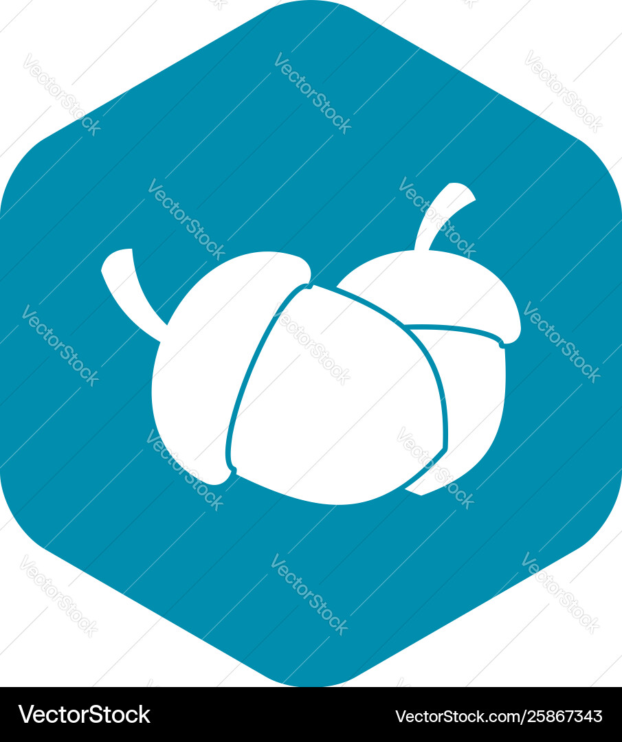 Acorn icon in simple style vector image