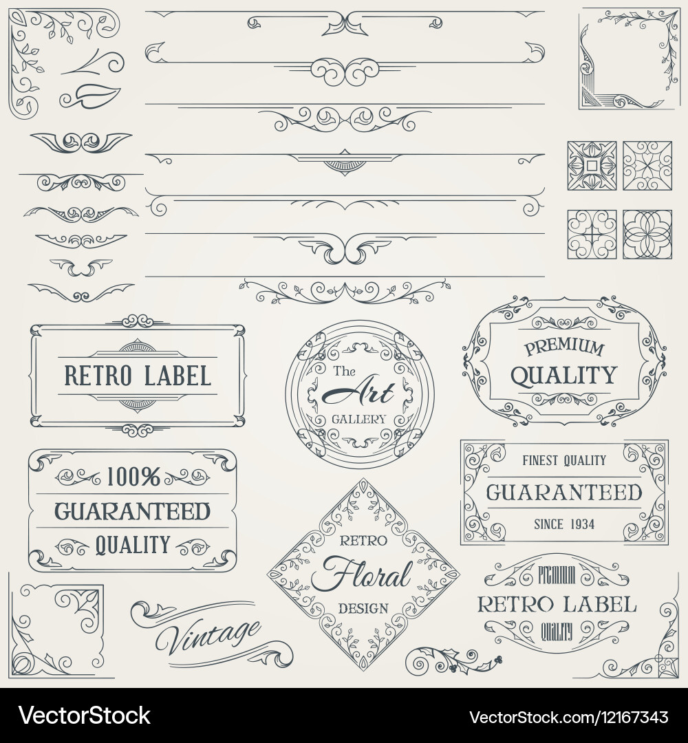 Elegant Retro Calligraphy Set vector image