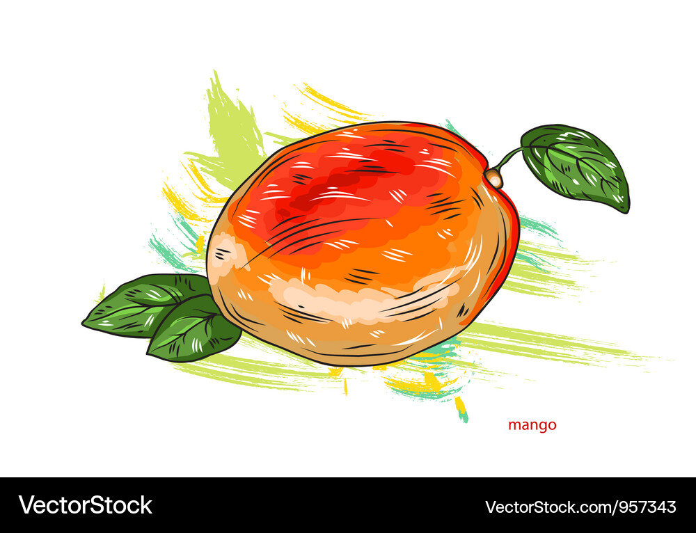 Mango with colorful splashes Vector Image