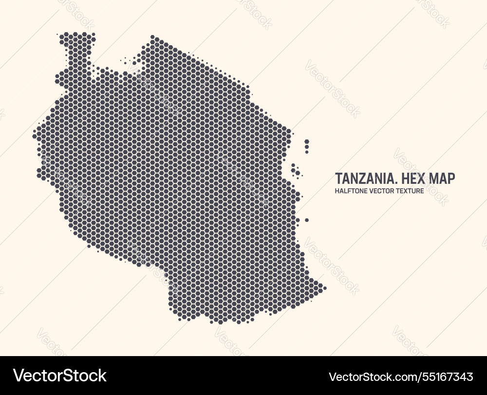 Tanzania Hexagonal Map Pattern vector image
