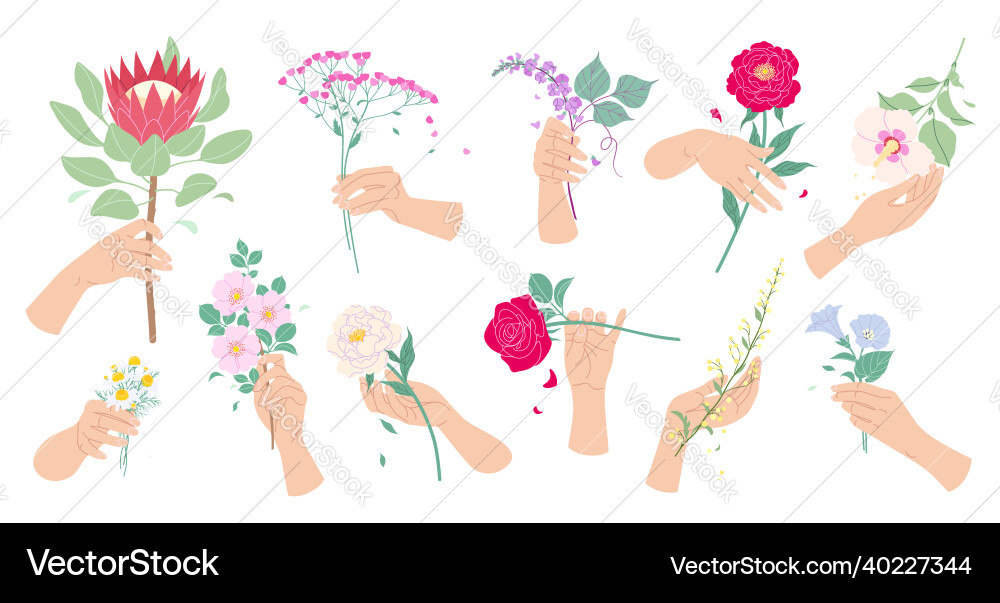 Floral compositions with female hands and flowers Floral compositions with female hands and flowers vector image