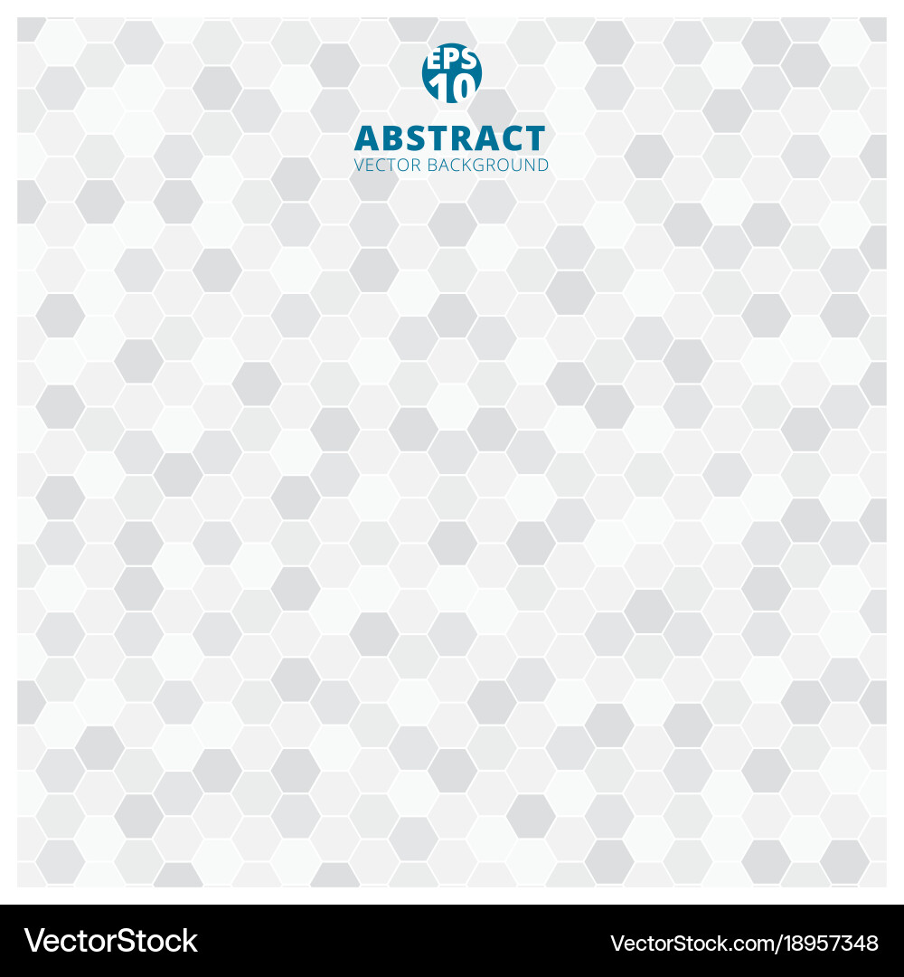Abstract hexagon pattern white and gray color vector image
