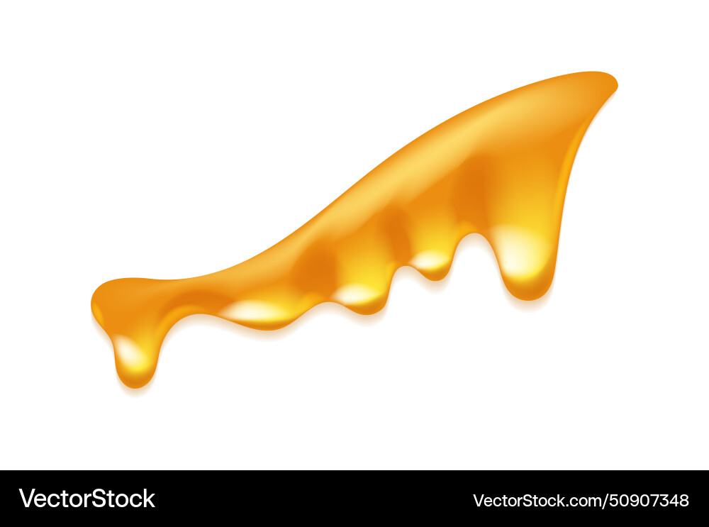 Dripping honey like design element vector image