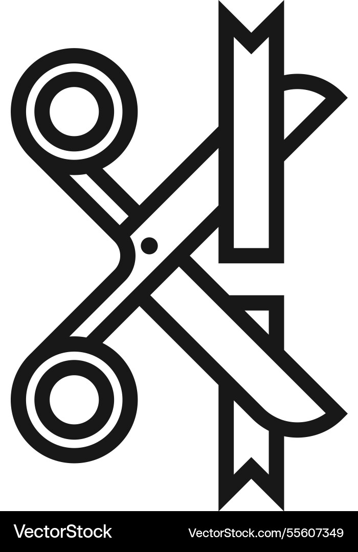 Launch flat line web icon concept Launch flat line web icon concept vector image