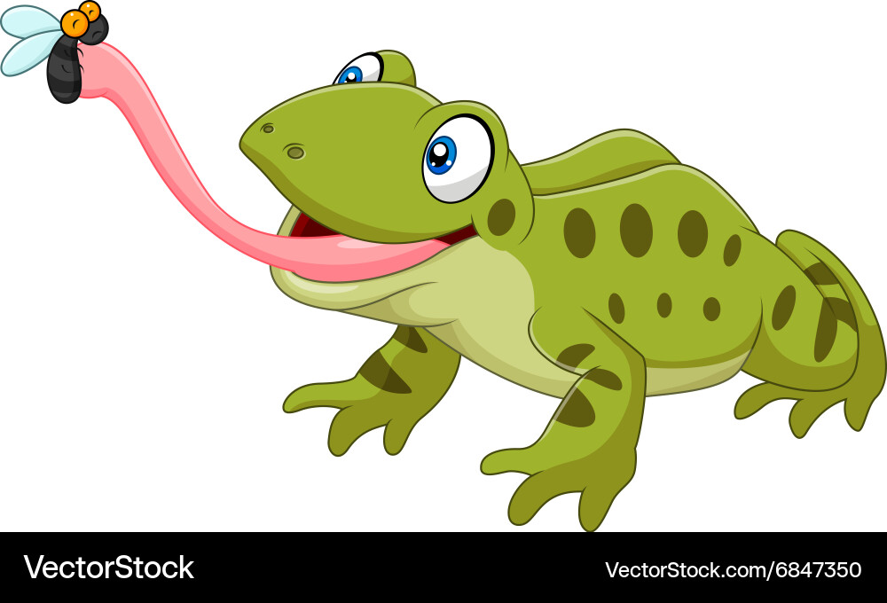 Frog Snatching Fly Cartoon Royalty Free Vector Image