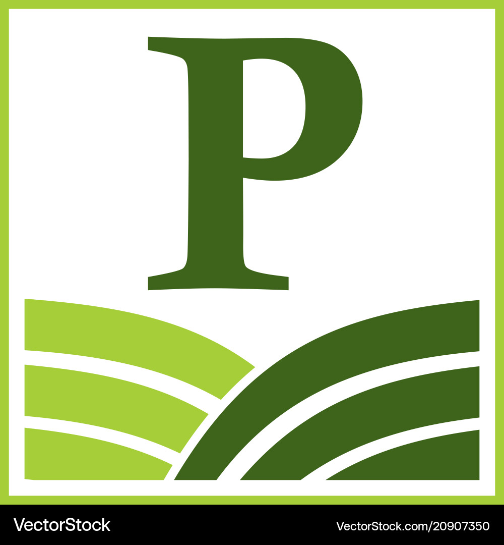 Green project solution center initial p vector image