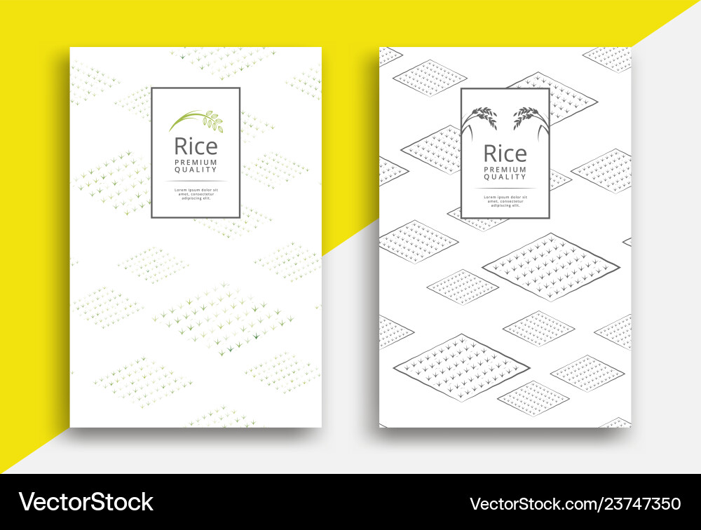 Rice packaging template design with field pattern Rice packaging template design with field pattern vector image