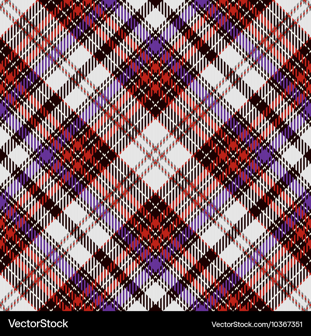 Tartan Plaid Pattern vector image