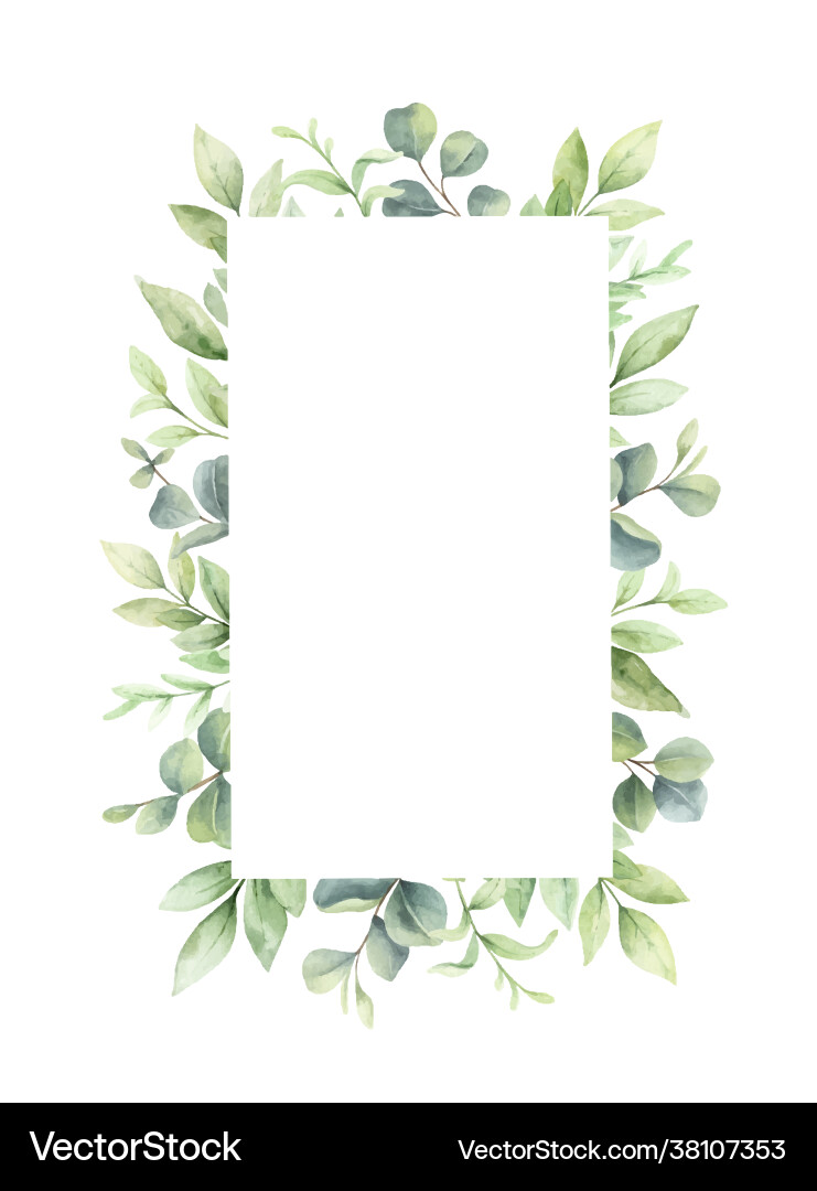 Watercolor Green Eucalyptus Frame Vector Image