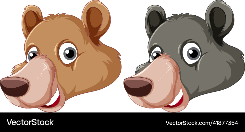 A bear on white background vector image