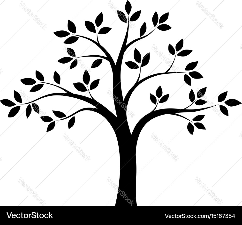 Elegant Black and White Tree – Royalty-Free Vector | VectorStock, image size:1000x931