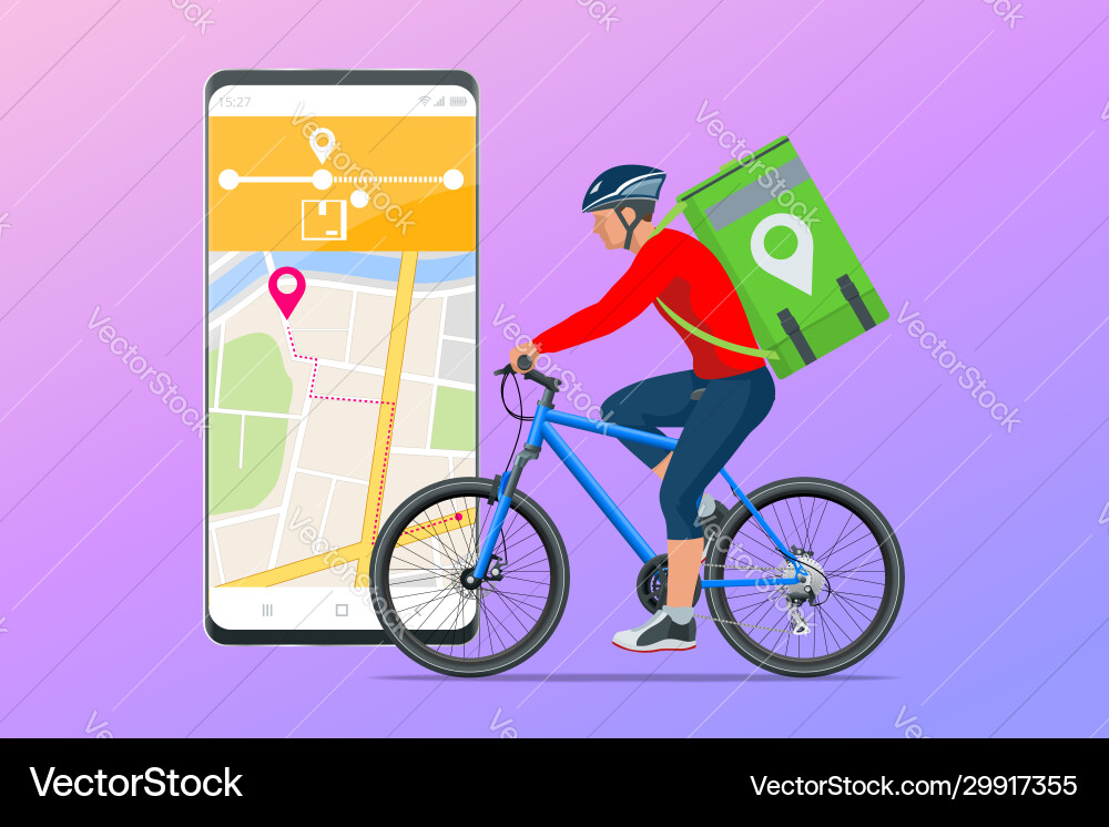 Bicycle courier express delivery service vector image