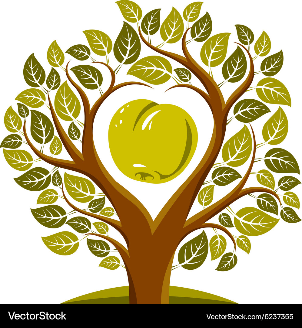 Tree with leaves and branches in the shap Vector Image
