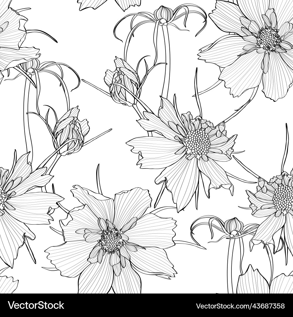 Cosmos Flower Pattern Background Vector Image