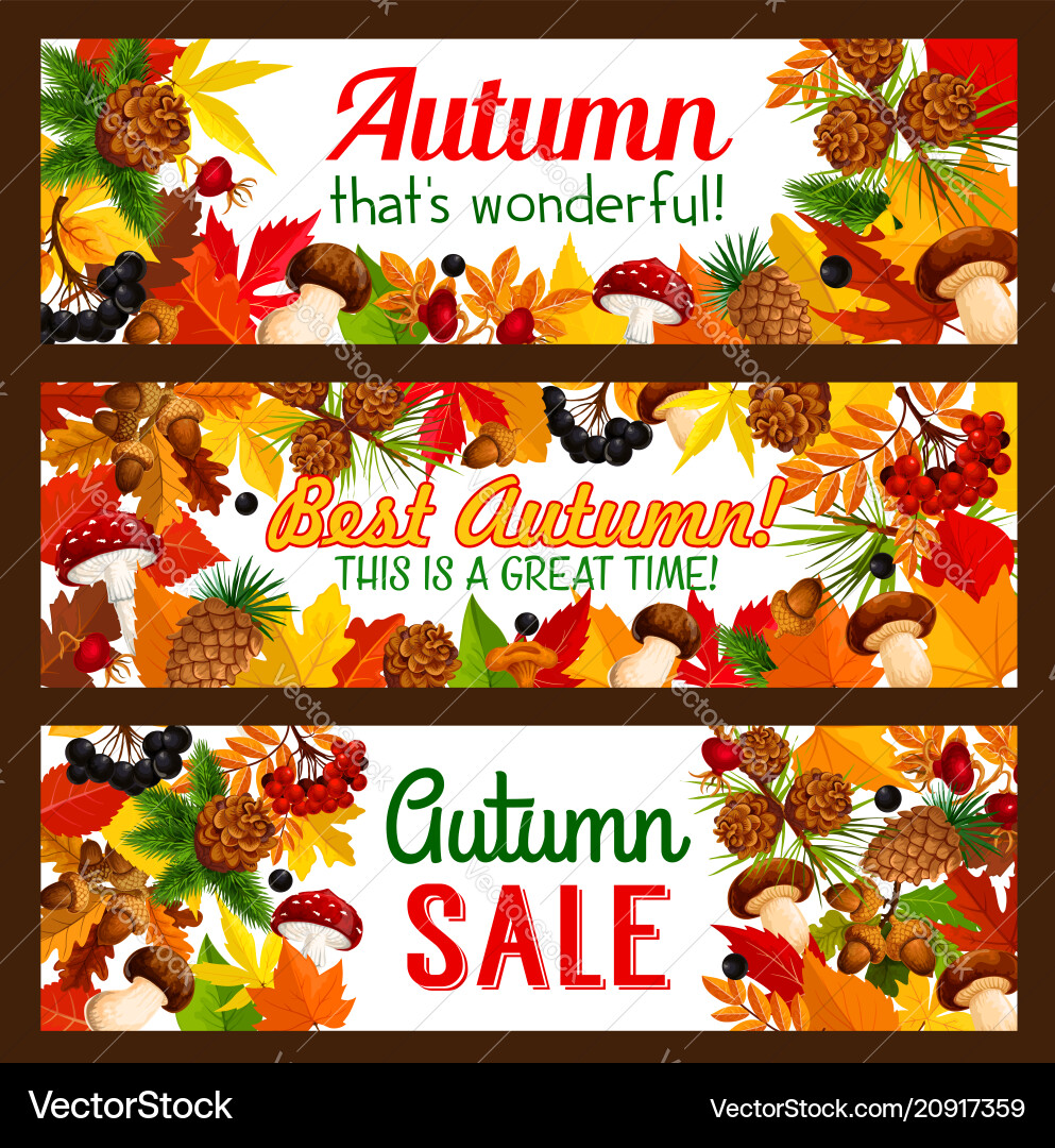 Autumn sale offer banner with fall nature frame Autumn sale offer banner with fall nature frame vector image