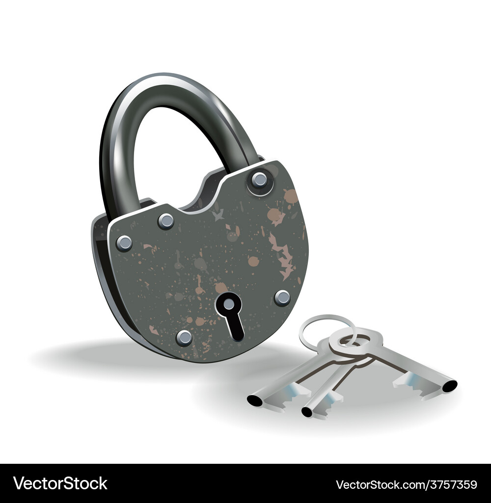 Lock and keys Vector Image