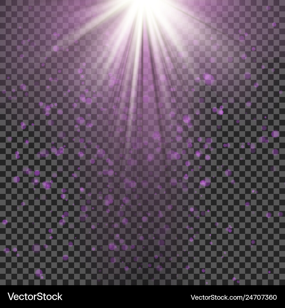 Falling snow effect isolated on transparent Falling snow effect isolated on transparent vector image