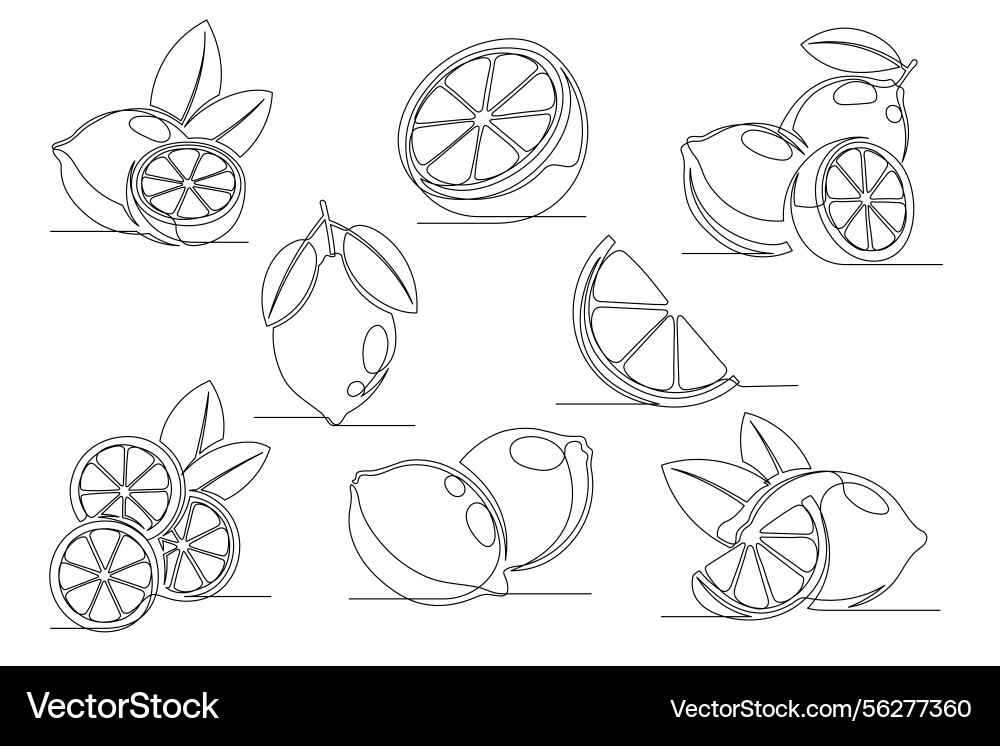 Lemon continuous one line drawing set Lemon continuous one line drawing set Vector Image
