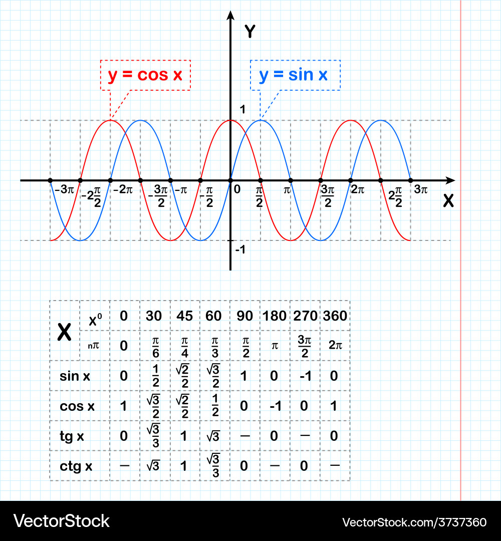 Sine and Cosine Functions on a Notebook Sheet vector image