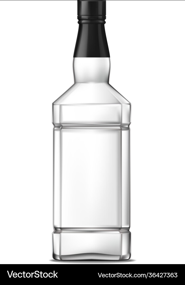 Square whiskey bottle composition Square whiskey bottle composition vector image