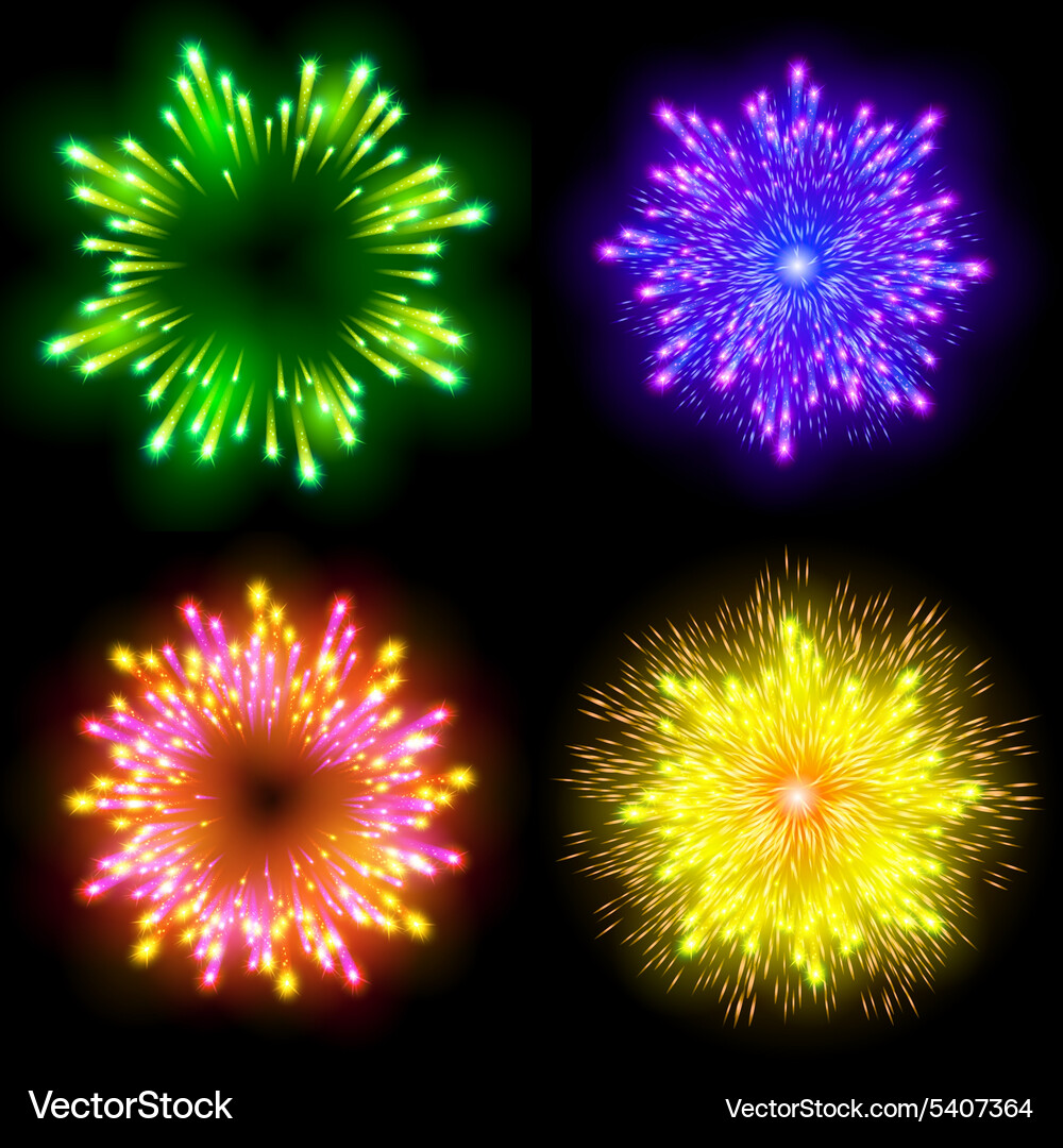 Festive patterned firework bursting in various Vector Image
