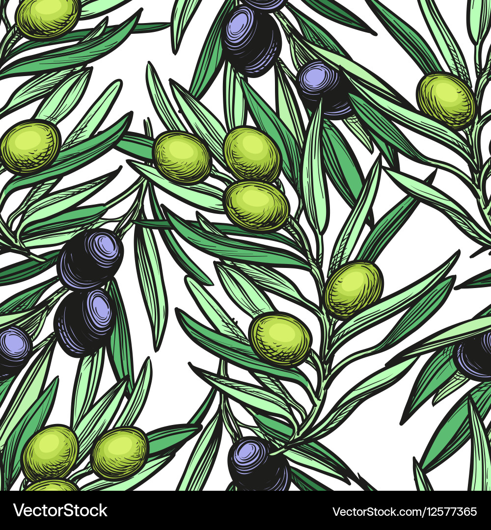 Seamless pattern with olive branch Royalty Free Vector Image