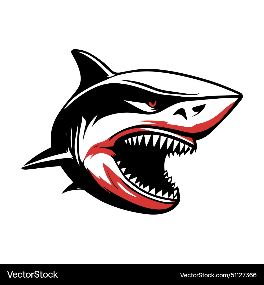 Fierce black and white shark vector image