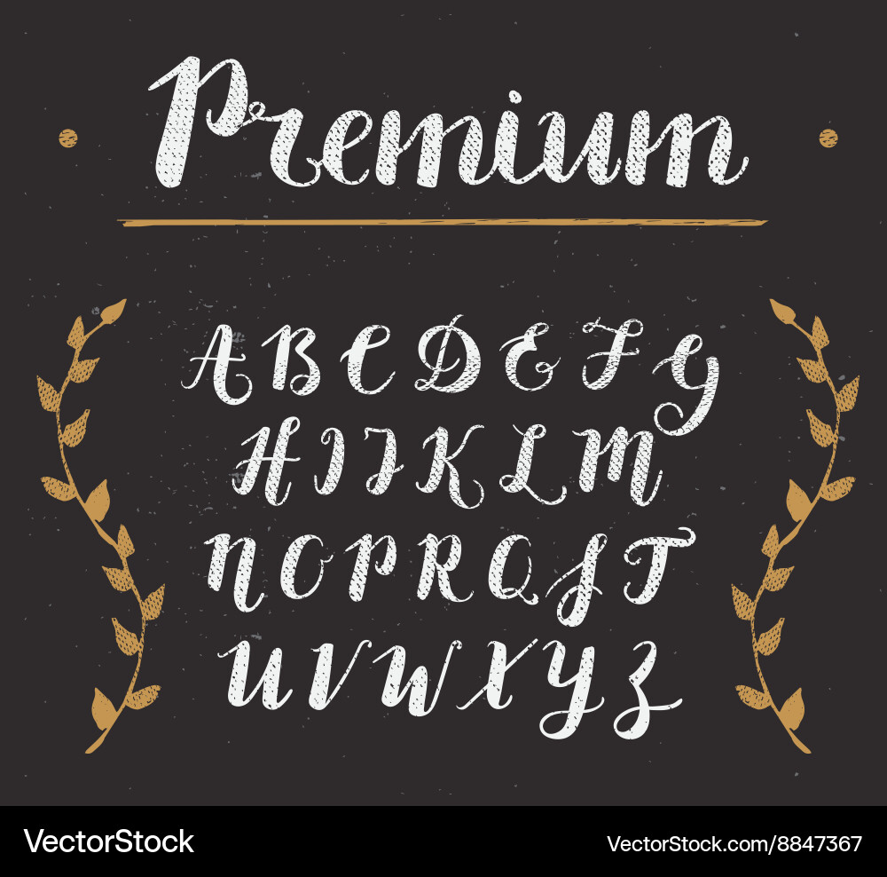Hand drawn script alphabet letters written vector image