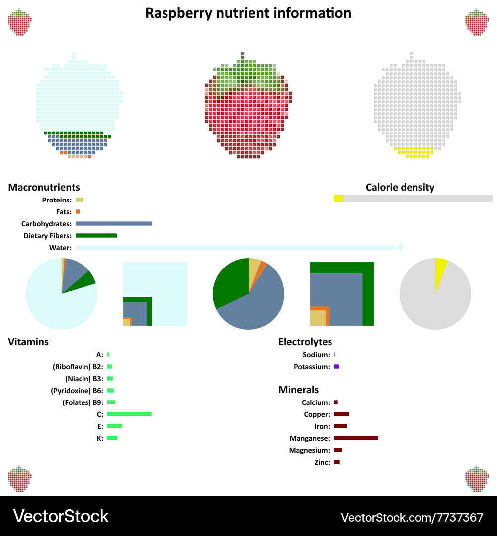 Raspberry nutrient information Vector Image