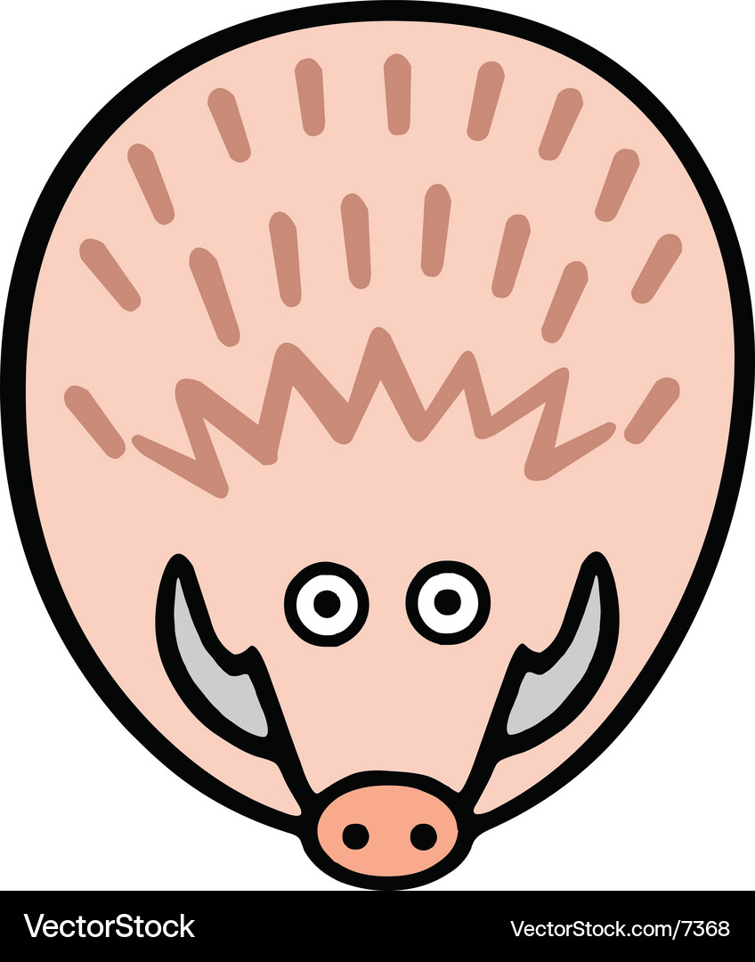 Pig Vector Image