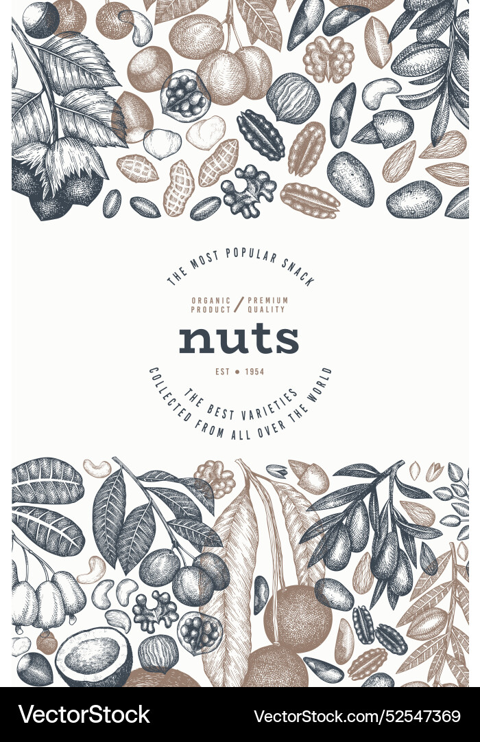 Hand drawn nuts branch and kernels template Vector Image