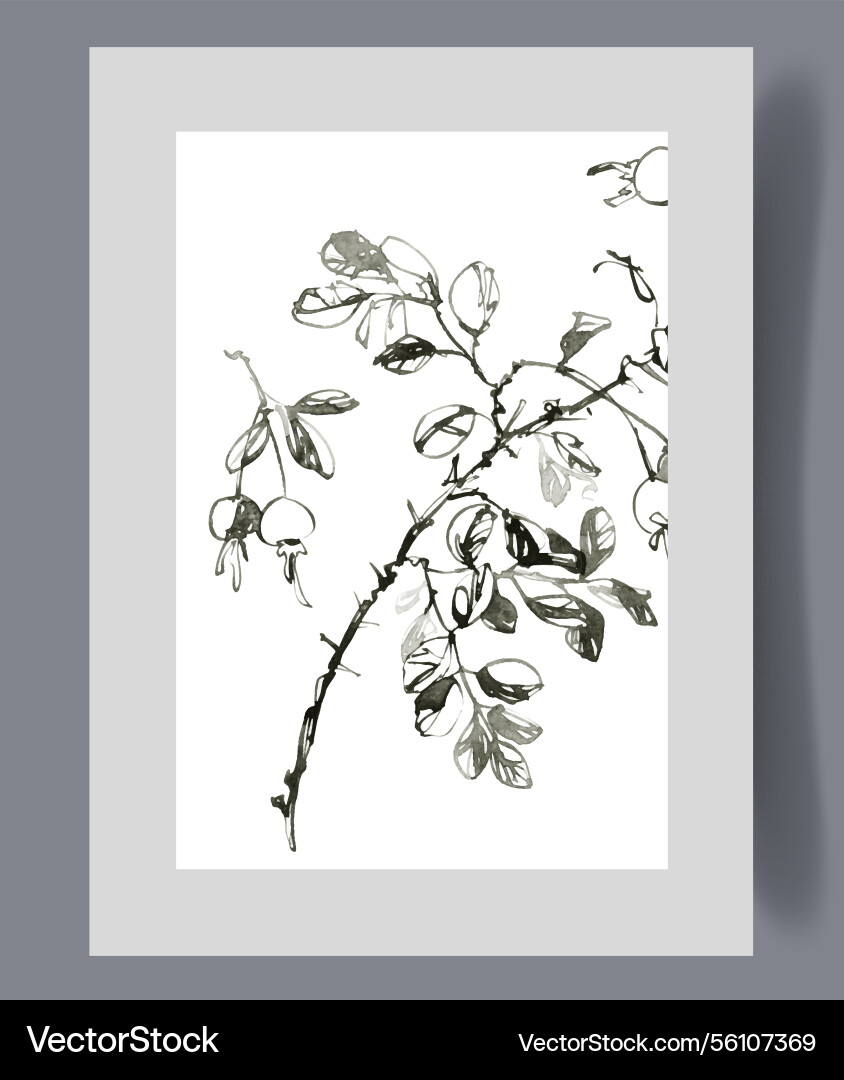 Tree branch with small bunches of apples on warm Vector Image