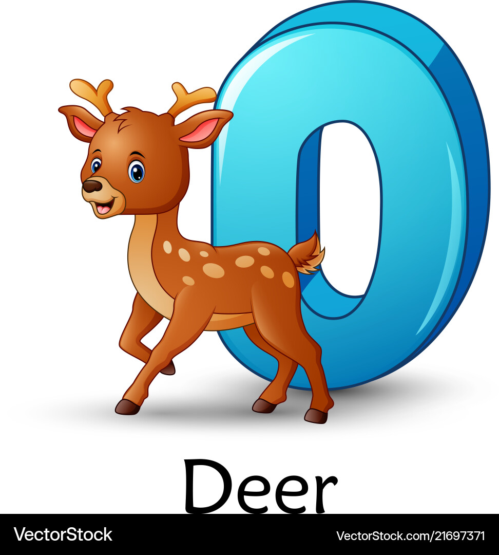 D is for Deer D is for Deer