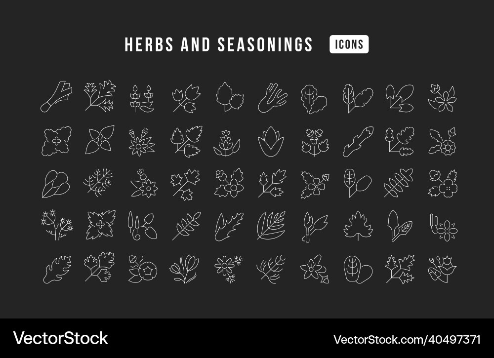 Set of linear icons herbs and seasonings Set of linear icons herbs and seasonings vector image