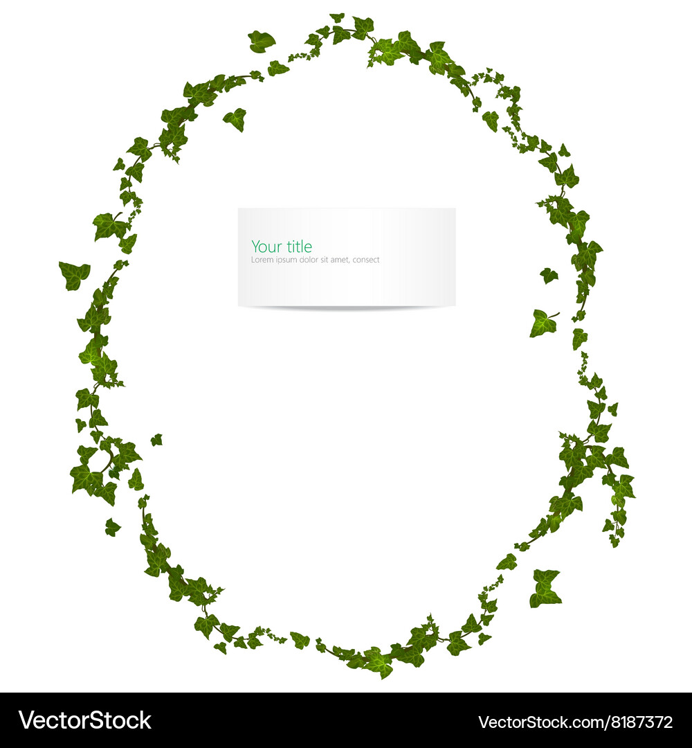 Spring frame with ivy Vector Image