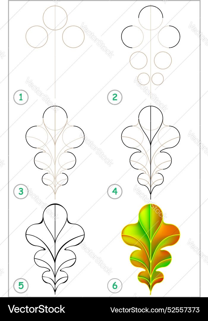 Page shows how to learn step by draw Vector Image