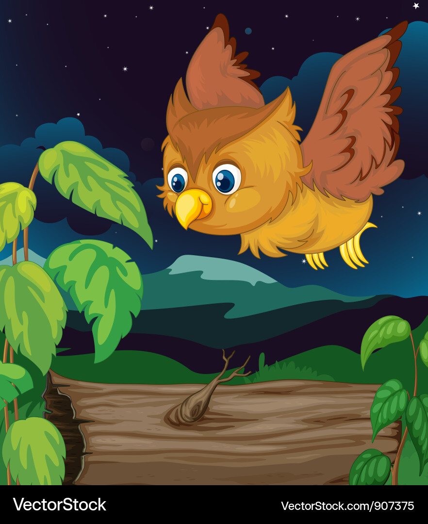 Night owl Royalty Free Vector Image - VectorStock