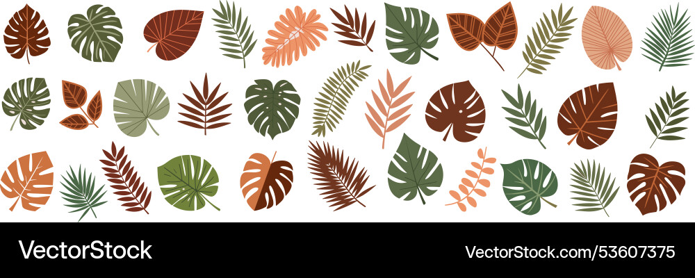 Tropical different type exotic leaves set isolated Tropical different type exotic leaves set isolated vector image