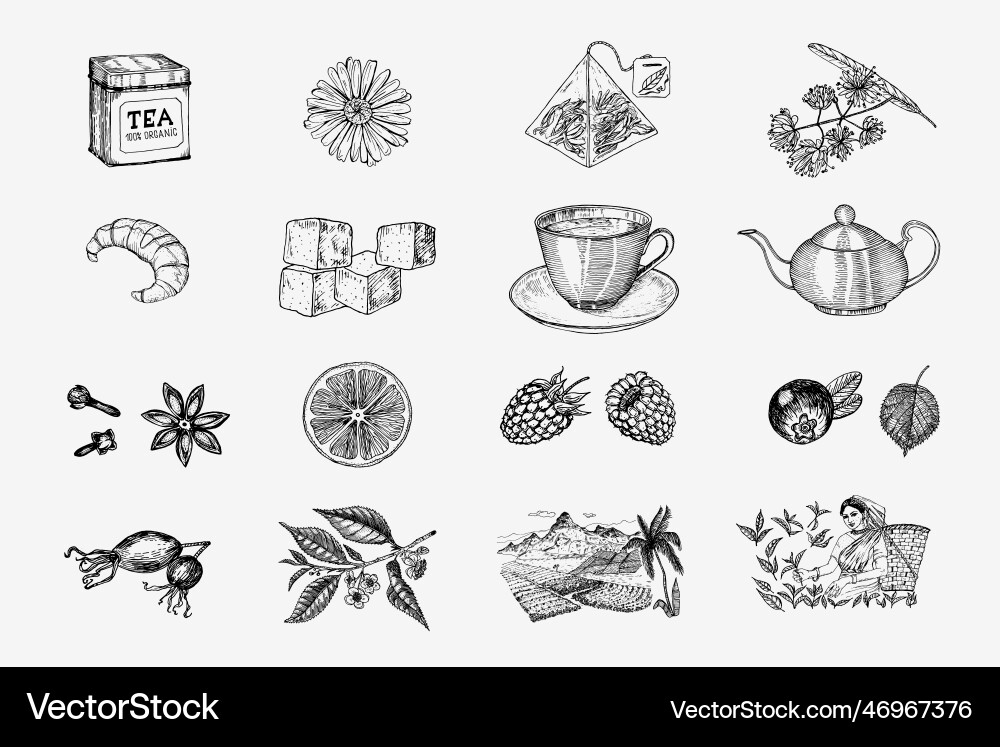 Kräutertee Bag Brauen Kochrichtungen Teekanne Kräutertee Bag Brauen Kochrichtungen Teekanne vektorbild