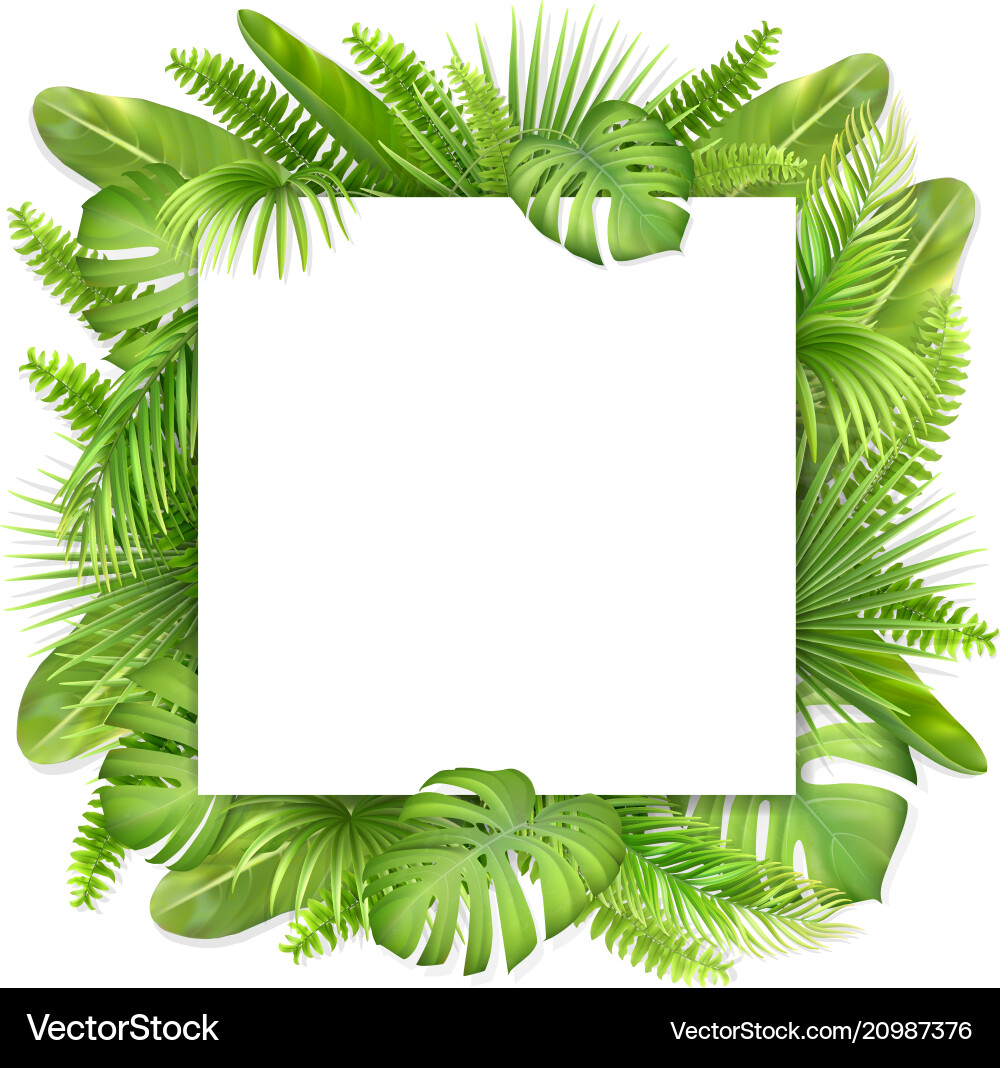 Square card with tropical leaves Square card with tropical leaves vector image
