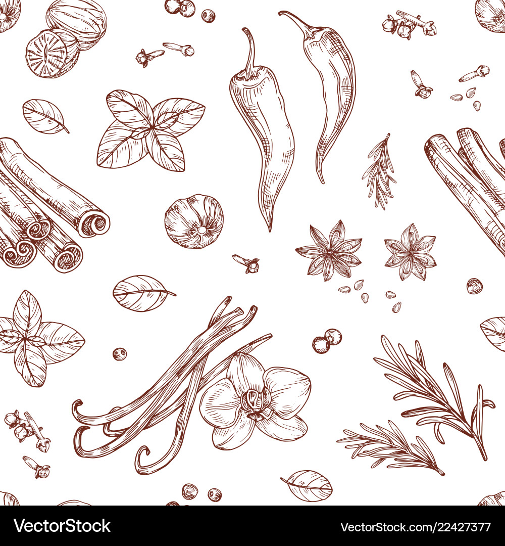 Spices Sketch Seamless Pattern Vector Image