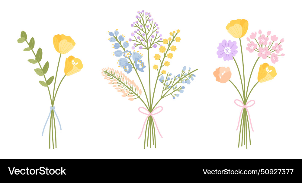 Wildflower Bouquets Satz von drei Blumen sanft Wildflower Bouquets Satz von drei Blumen sanft vektorbild