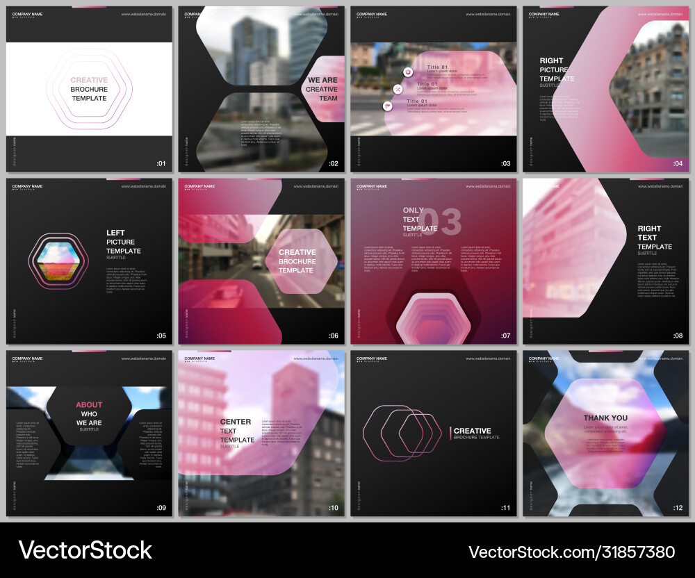 Minimal brochure templates with hexagonal design Minimal brochure templates with hexagonal design vector image