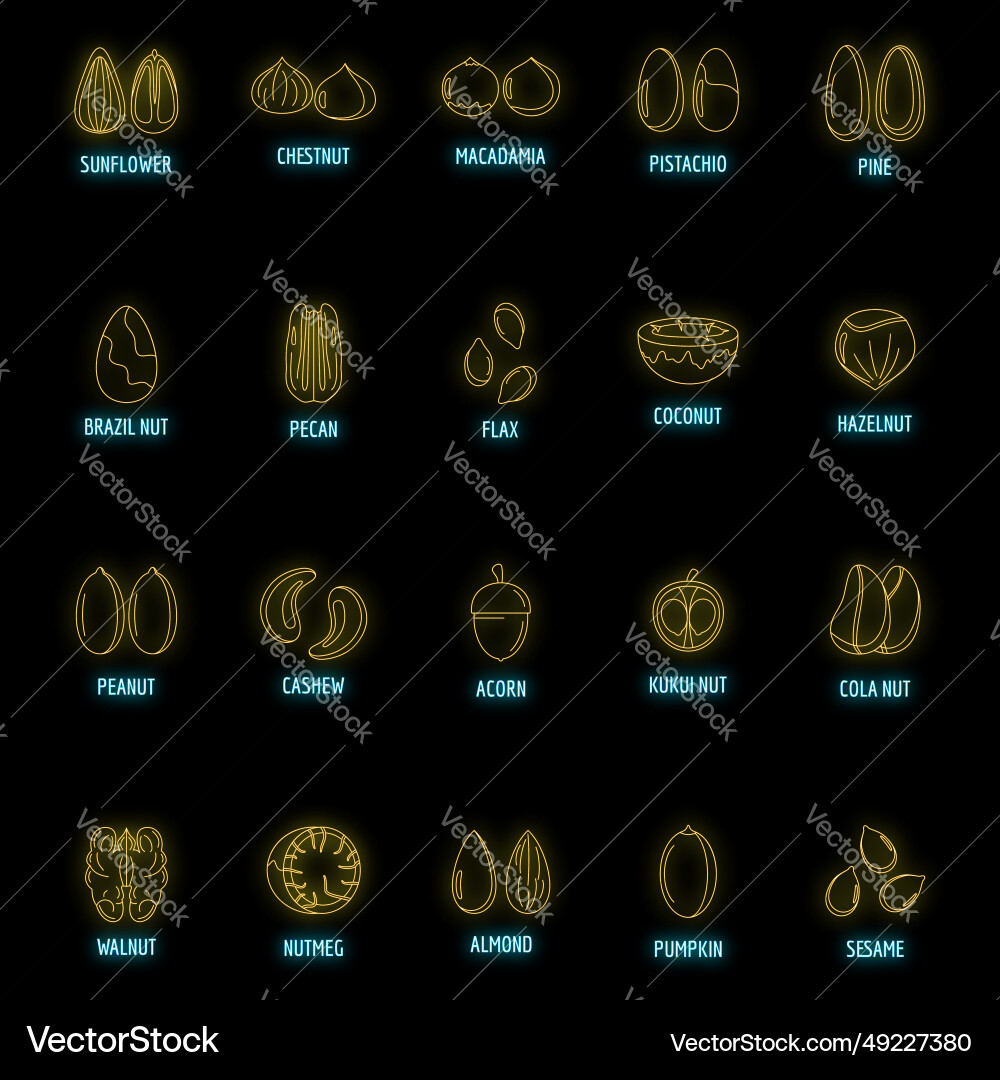Nut types with signed names icons set neon Nut types with signed names icons set neon vector image