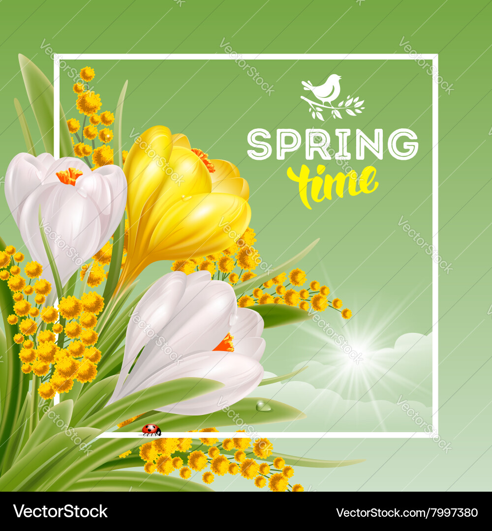 Spring time Vector Image