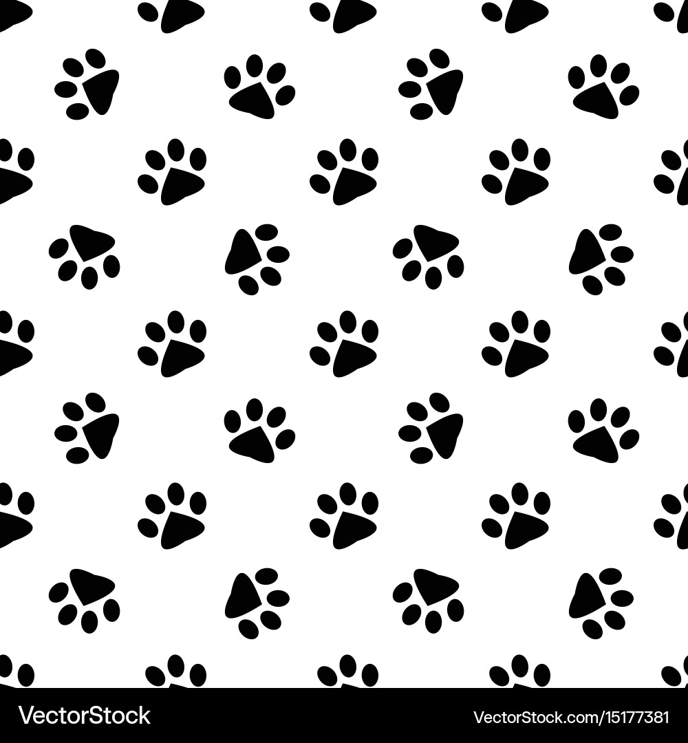 Animal Paw Print Pattern vector image