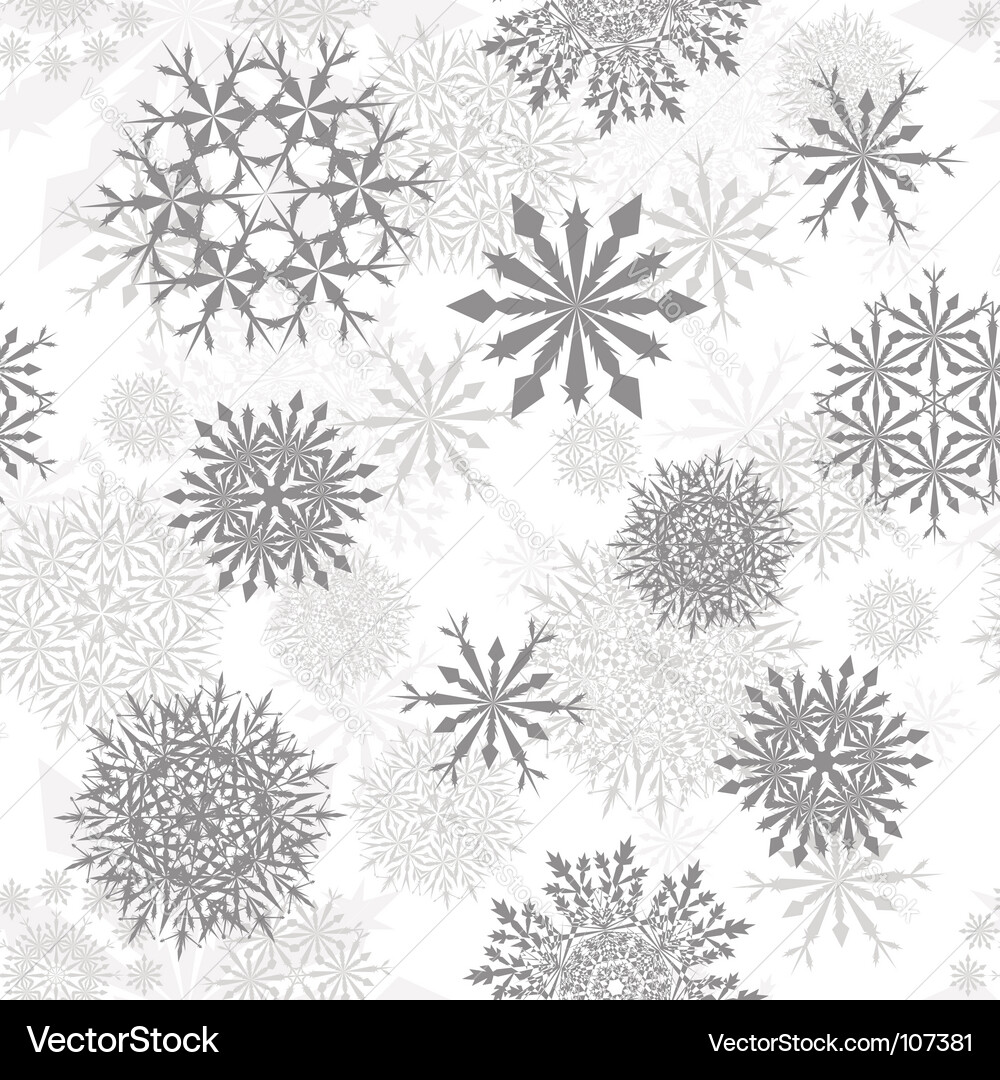 Winter Snowflake Pattern Vector Image