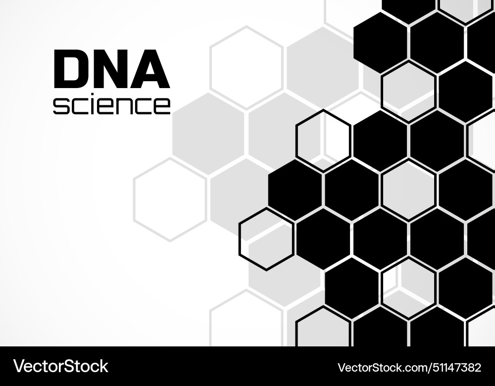 Abstract background of hexagonal cells molecular vector image