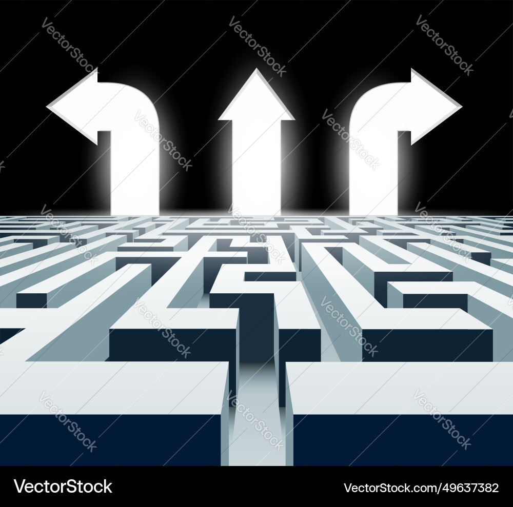 Labyrinth with exit direction arrows vector image