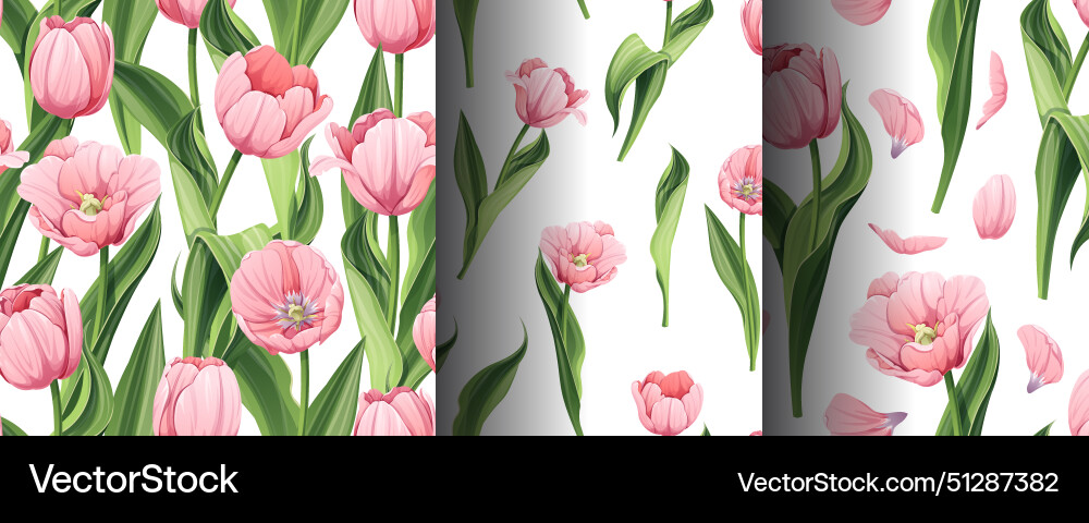 Set of seamless patterns with spring flowers Vector Image